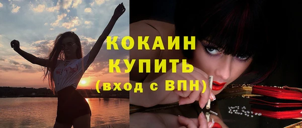 ешки Осинники
