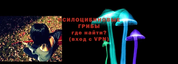 ешки Осинники