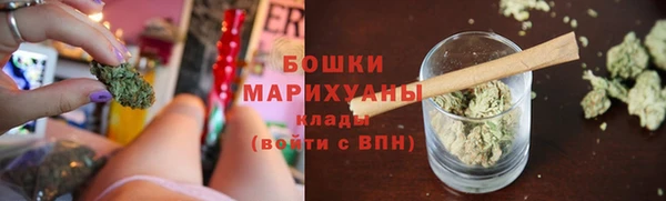 ешки Осинники